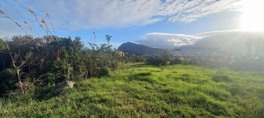 0 Bedroom Property for Sale in Pringle Bay Western Cape